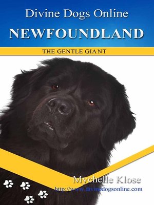 cover image of Newfoundland
